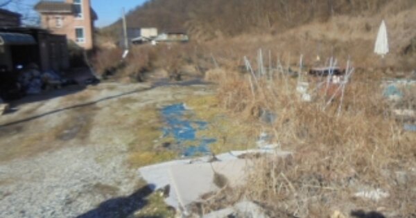 충청북도 충주시 수안보면 사문리 OOO 답 경매 물건 이미지