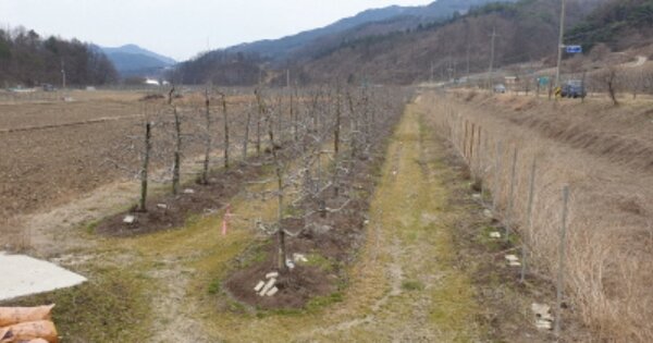 경상남도 거창군 고제면 궁항리 OOOO 답 경매 물건 이미지