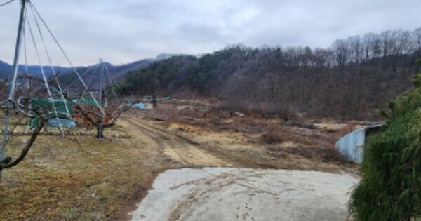 경상북도 김천시 구성면 흥평리 OOO 답 경매 물건 이미지