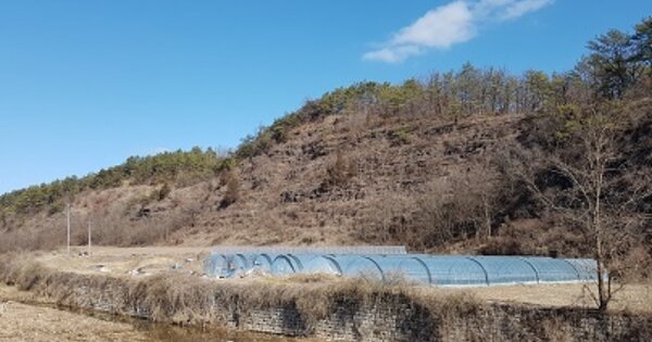 경상북도 의성군 금성면 개일리 OOO 전 경매 물건 이미지