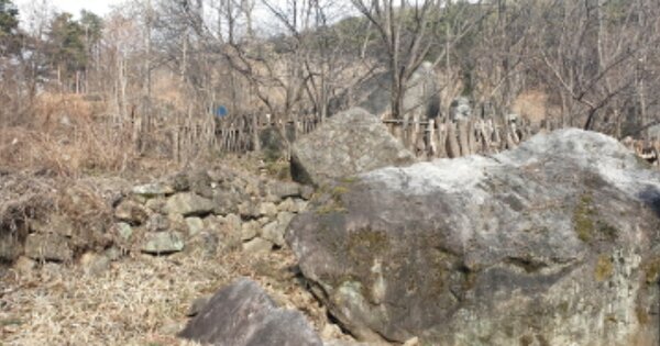 경상남도 함양군 마천면 강청리 OO 임야 경매 물건 이미지