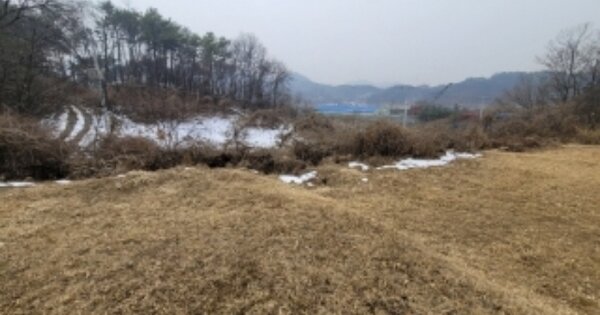 충청북도 청주시 청원구 오창읍 성재리 OOOOO 전 경매 물건 이미지