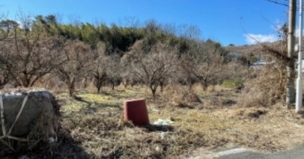 경상남도 진주시 문산읍 옥산리 OOOOOO O OOO 답 경매 물건 이미지