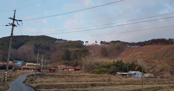 충청남도 서천군 문산면 금복리 OOOOO 임야 경매 물건 이미지