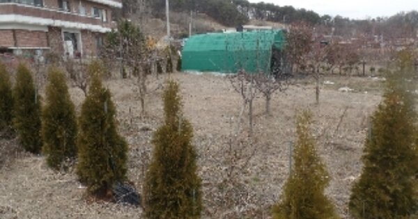 충청남도 논산시 관촉동 OOOOO O OOO 대지 경매 물건 이미지
