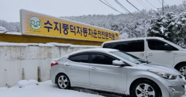 경기도 용인시 수지구 풍덕천동 OOOOO O OOO 임야 경매 물건 이미지