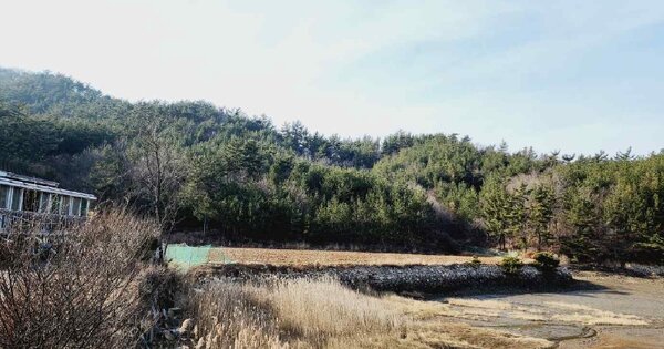 충청남도 태안군 이원면 사창리 OOO 답 경매 물건 이미지