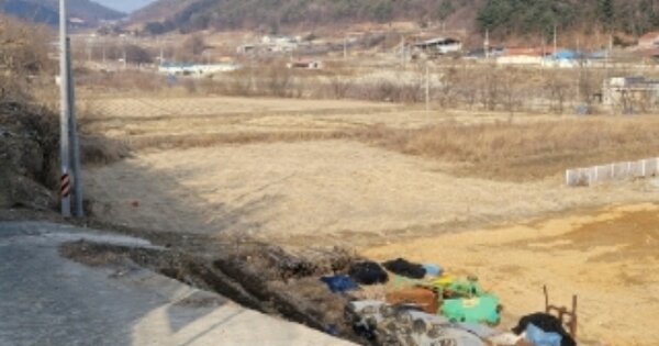 경상북도 영주시 풍기읍 교촌리 OOO 답 경매 물건 이미지