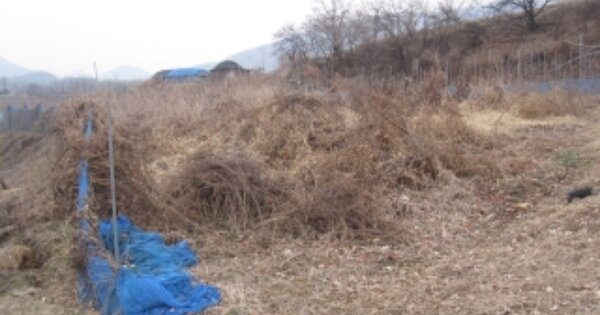충청북도 보은군 삼승면 원남리 OOO O OOO 전 경매 물건 이미지