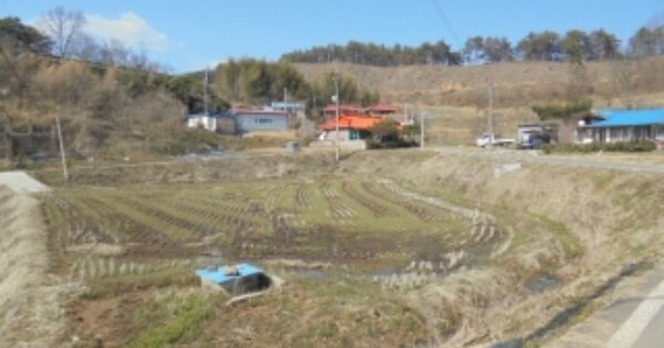 충청남도 부여군 양화면 암수리 OOOOO O OOO 답 경매 물건 이미지
