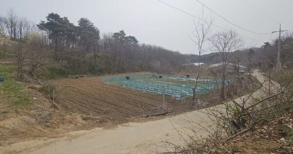 강원특별자치도 양양군 강현면 정암리 OOO 전 경매 물건 이미지