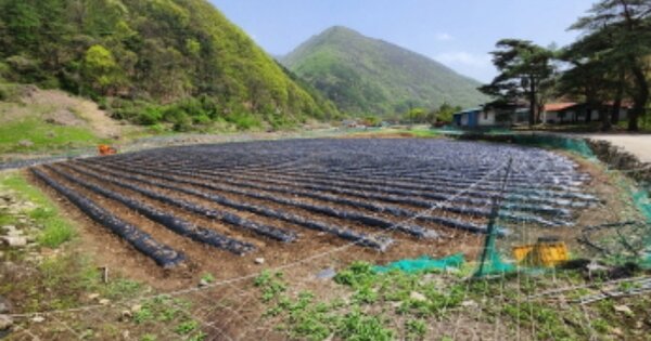충청북도 제천시 덕산면 월악리 OOOOOO 임야 경매 물건 이미지