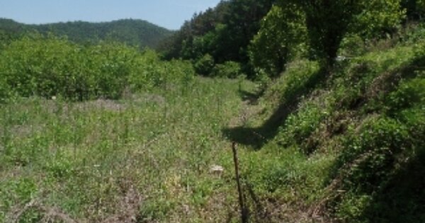 충청남도 논산시 양촌면 임화리 OOO 답 경매 물건 이미지