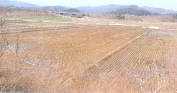 강원특별자치도 동해시 망상동 OOO 답 경매 물건 이미지