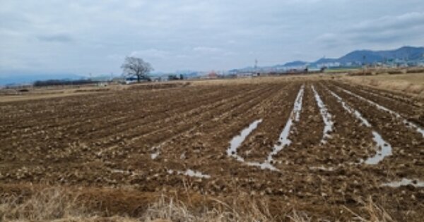 경상남도 창원시 의창구 대산면 가술리 OOOO 답 경매 물건 이미지