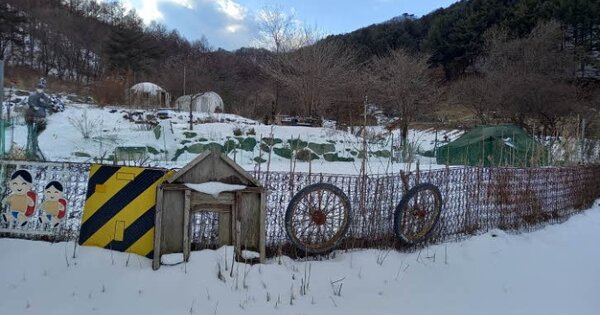 강원특별자치도 철원군 근남면 잠곡리 OOOO 임야 경매 물건 이미지