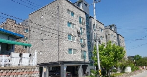 강원특별자치도 양구군 양구읍 상리 441-8, 101동 OO OOOO OOOOOOO 다세대주택 경매 물건 이미지