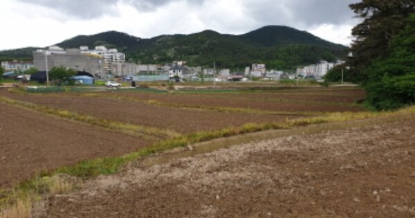 경상북도 경주시 충효동 OOOOOO 답 경매 물건 이미지