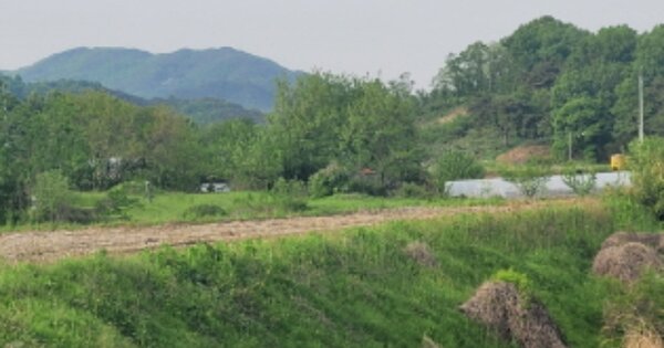 경상북도 성주군 벽진면 매수리 OOO O OOO 답 경매 물건 이미지