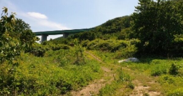 경상북도 경주시 안강읍 강교리 OOO 전 경매 물건 이미지
