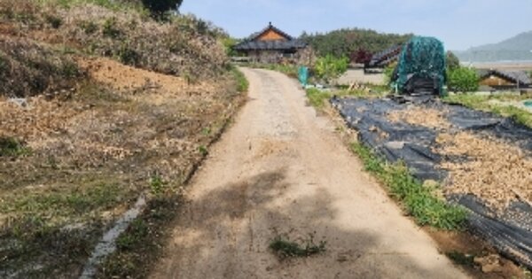 전라남도 순천시 별량면 학산리 OOO O OOO 답 경매 물건 이미지
