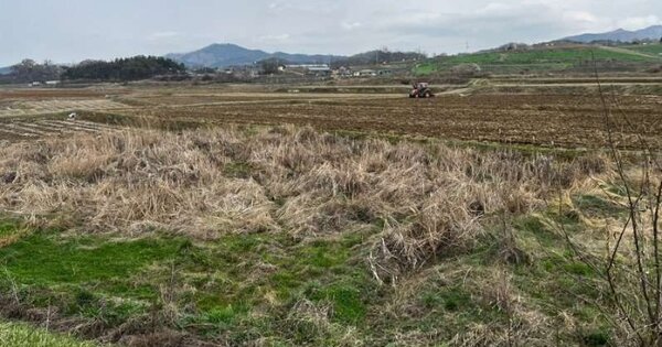 충청남도 아산시 인주면 관암리 OOO 답 경매 물건 이미지