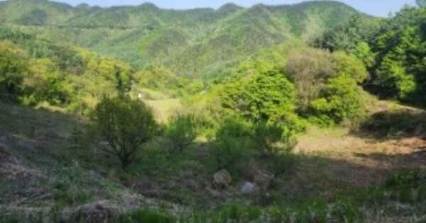 충청북도 괴산군 청천면 무릉리 OOOO 전 경매 물건 이미지