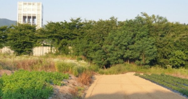 경상북도 경주시 천군동 OOOOO 답 경매 물건 이미지