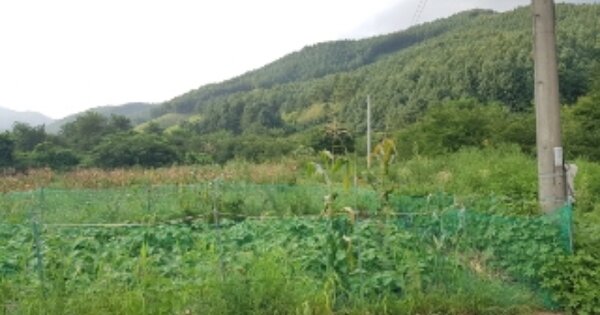 강원특별자치도 홍천군 두촌면 장남리 OOO 답 경매 물건 이미지
