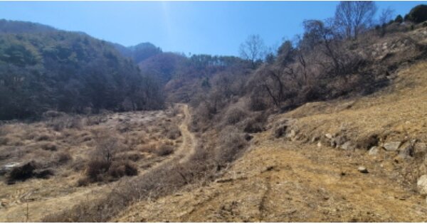 경상북도 영천시 북안면 상리 OO O OOO 답 경매 물건 이미지