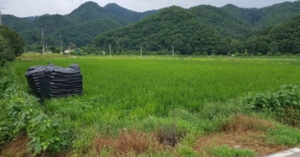 강원특별자치도 홍천군 영귀미면 좌운리 OOOO O OOO 답 경매 물건 이미지
