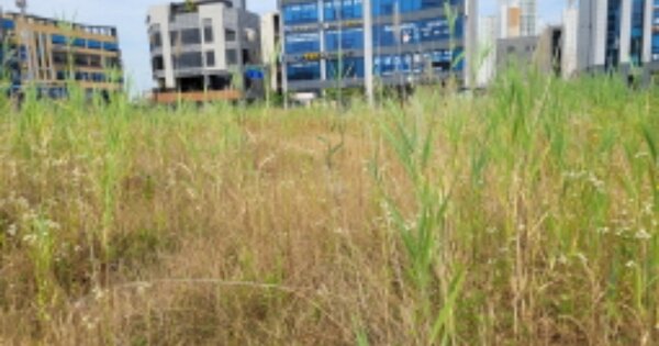 전북특별자치도 군산시 미장동 OOOOO 대지 경매 물건 이미지