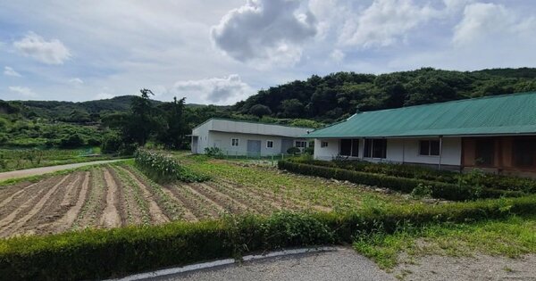 충청남도 예산군 덕산면 외라리 OOO O OOO 전 경매 물건 이미지