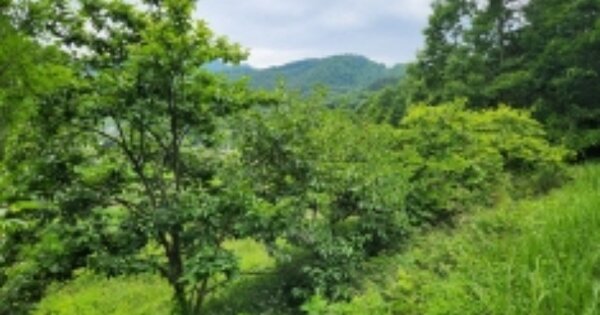 전라남도 순천시 황전면 황학리 OOOOO O OOO 답 경매 물건 이미지