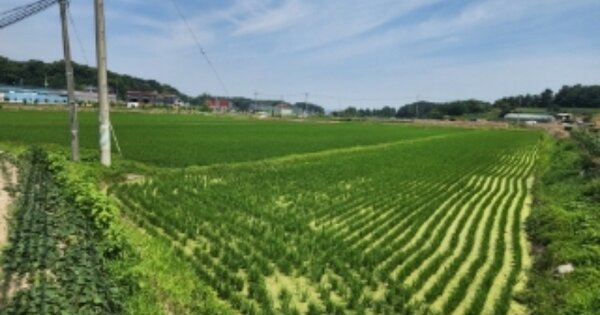 충청북도 청주시 청원구 내수읍 묵방리 OOOOO 답 경매 물건 이미지