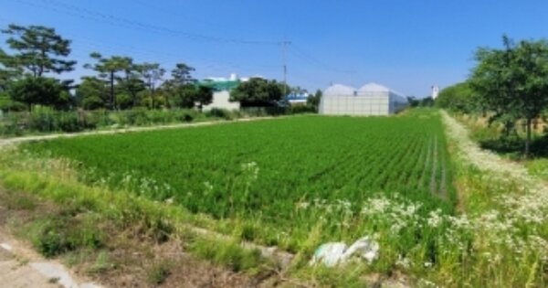 충청북도 청주시 흥덕구 강내면 학천리 OOOOO 답 경매 물건 이미지