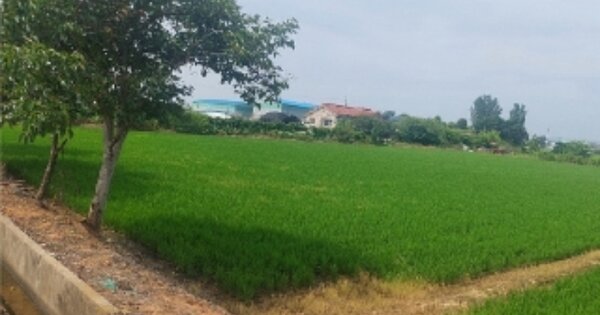 충청남도 아산시 둔포면 신법리 OOOOO 전 경매 물건 이미지
