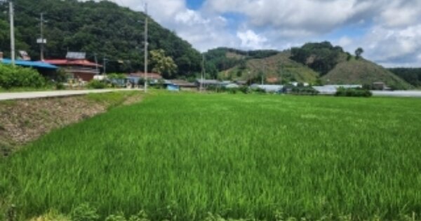 충청북도 청주시 상당구 미원면 성대리 OO 답 경매 물건 이미지