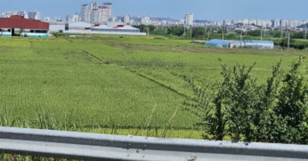 충청남도 천안시 서북구 성환읍 신가리 OOOOO 답 경매 물건 이미지