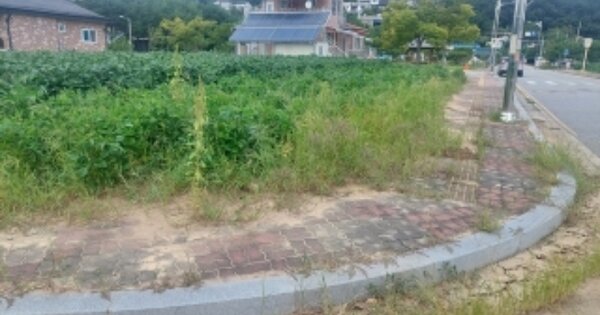 충청남도 아산시 신창면 창암리 OOO 대지 경매 물건 이미지