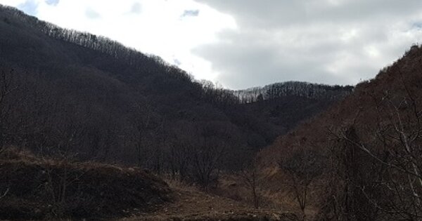 대구광역시 군위군 삼국유사면 장곡리 OO O OOO 전 경매 물건 이미지