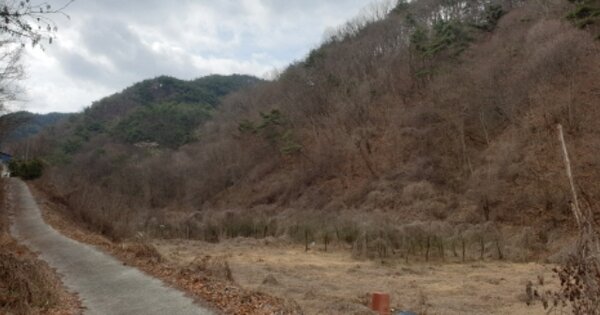경상남도 거창군 주상면 거기리 OOOO O OOO 임야 경매 물건 이미지