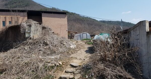 경상북도 의성군 봉양면 안평리 OOO 대지 경매 물건 이미지