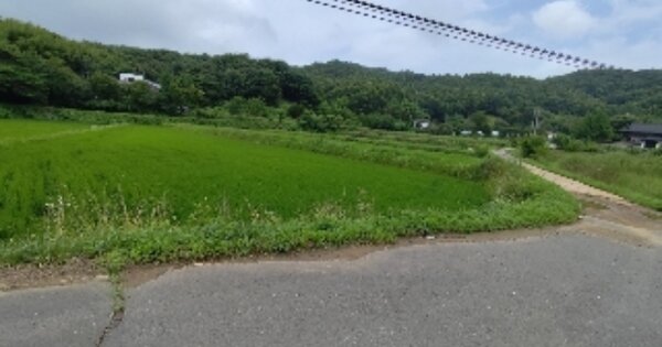 충청남도 보령시 청라면 황룡리 OOOO 답 경매 물건 이미지