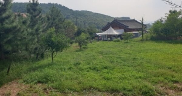 충청남도 예산군 예산읍 발연리 O 전 경매 물건 이미지