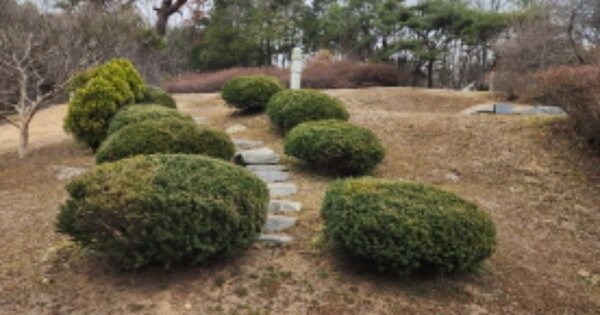 전북특별자치도 익산시 금마면 산북리 OOO 임야 경매 물건 이미지
