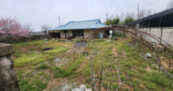 전북특별자치도 익산시 금마면 용순리 OOO 대지 경매 물건 이미지