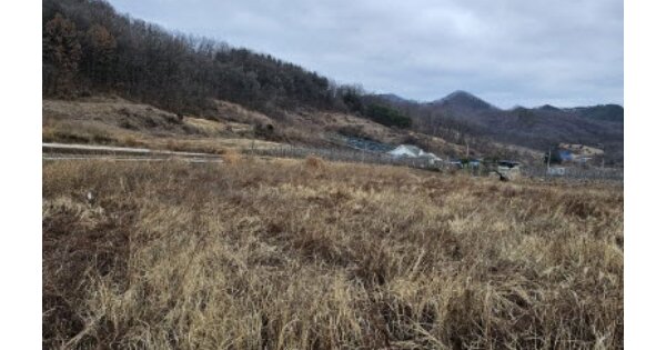 충청북도 충주시 대소원면 매현리 OOO 답 경매 물건 이미지