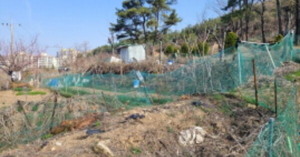 대구광역시 달성군 화원읍 본리리 OOOOO 임야 경매 물건 이미지