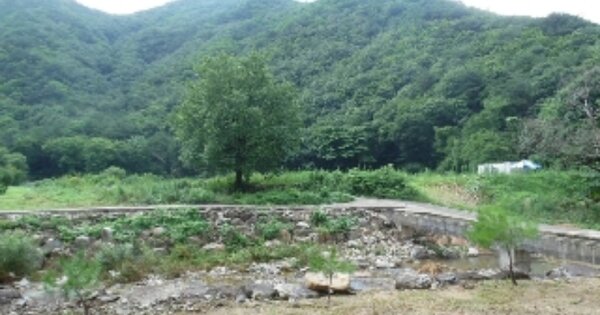 전북특별자치도 진안군 주천면 대불리 OO 전 경매 물건 이미지